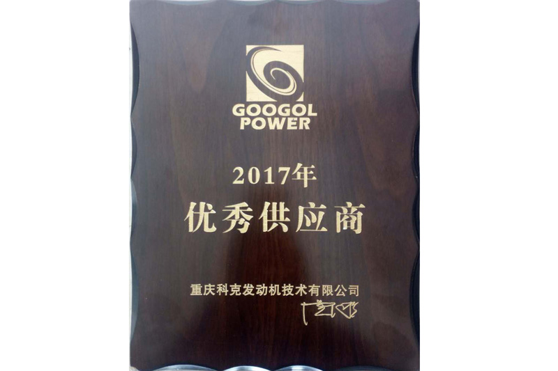 Excellent Supplier(Chongqing Googol Power-Tech，2017)